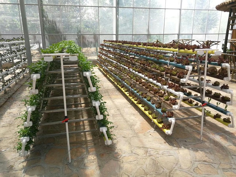 图：大棚立体种植架 水培蔬菜