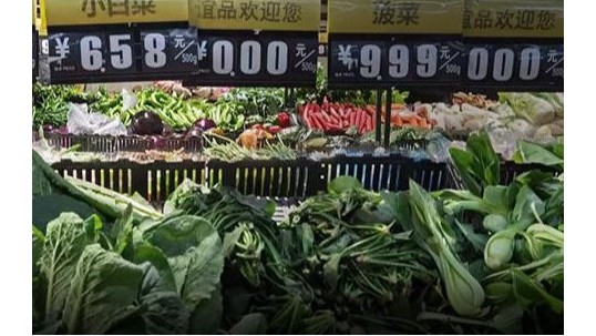 面对持续上涨的菜价，可以在家无土栽培蔬菜！