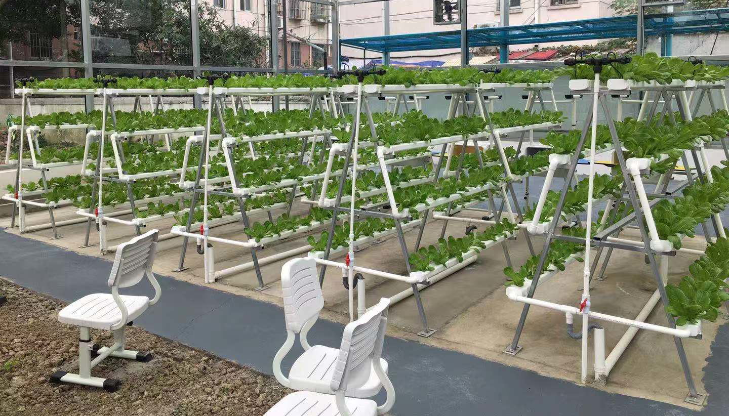 劳动教育课正在开展 校园空间紧张的学校怎样搞小菜园？